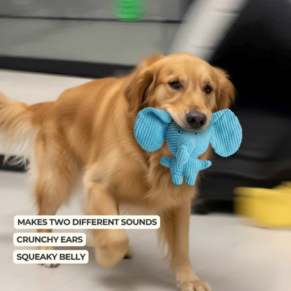 Calming Elephant Toy