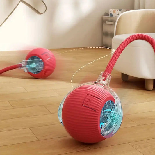Smart Pet Cat Interactive Ball Toy